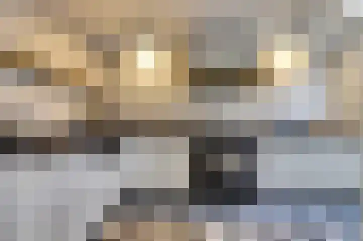 Julianastraat 75 Waarde thumbnail 18
