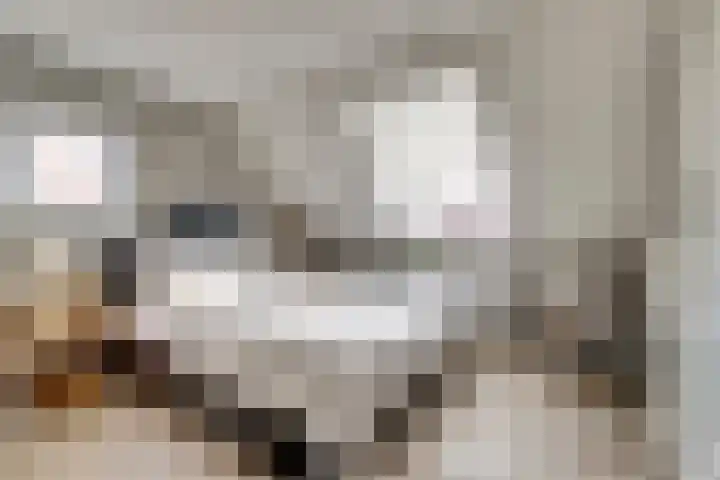 Julianastraat 75 Waarde thumbnail 22