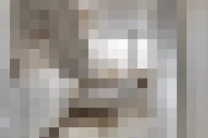 Julianastraat 75 Waarde thumbnail 26