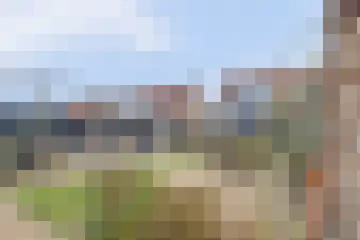 Julianastraat 75 Waarde thumbnail 33