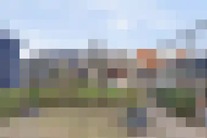 Julianastraat 75 Waarde thumbnail 34
