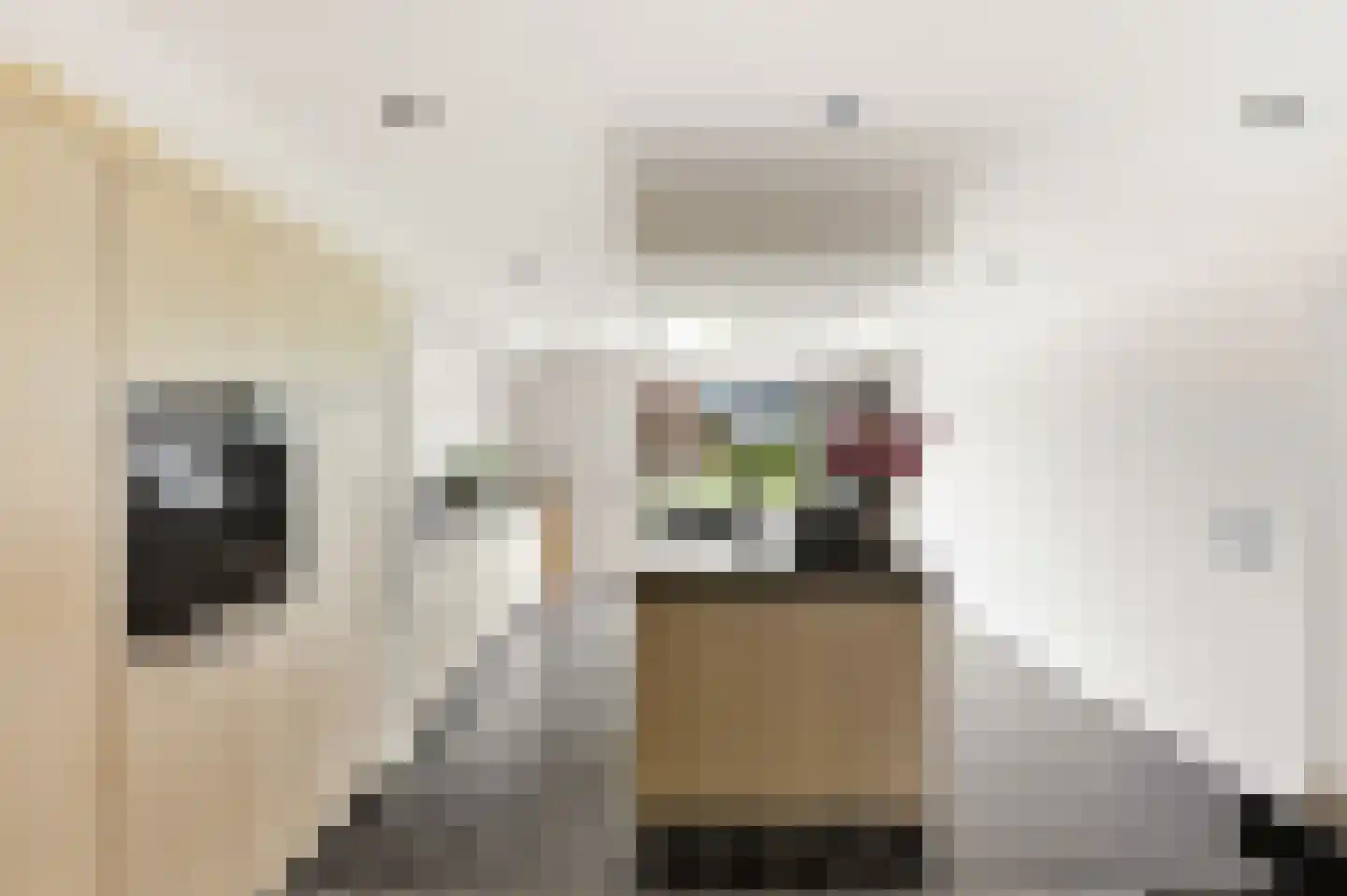 Julianastraat 76 Heikant thumbnail 18