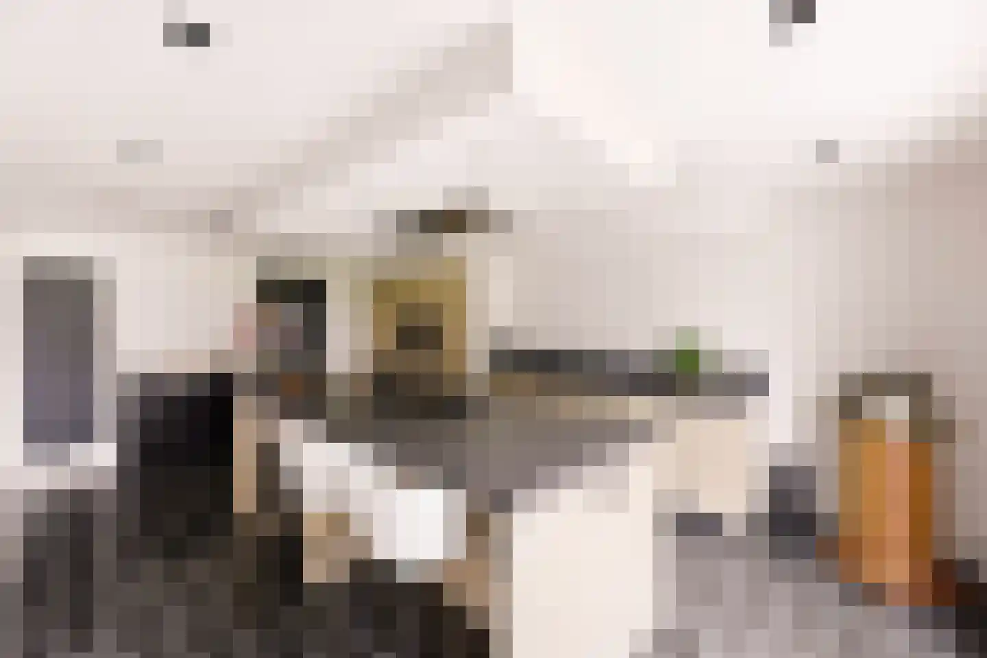 Julianastraat 76 Heikant thumbnail 20