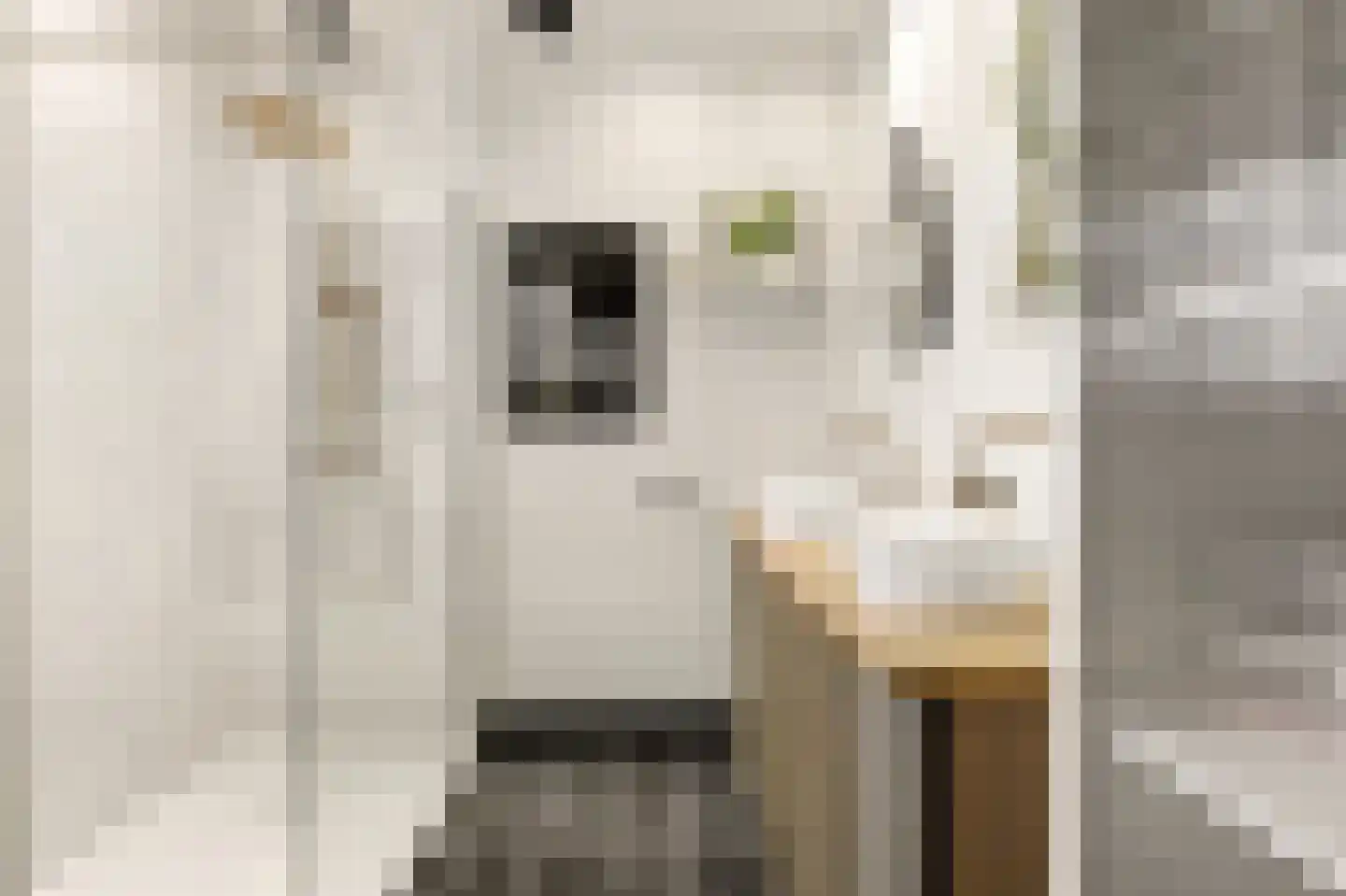 Julianastraat 76 Heikant thumbnail 21