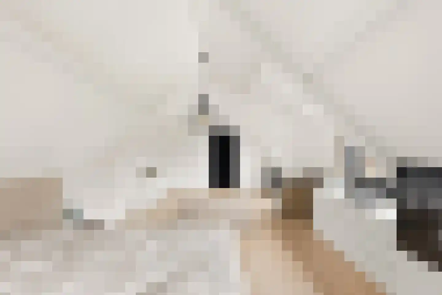Julianastraat 76 Heikant thumbnail 27