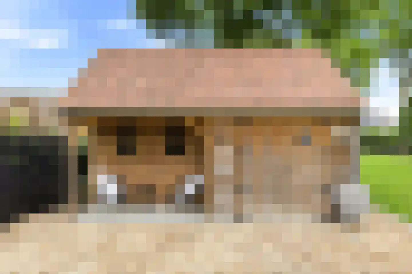 Julianastraat 76 Heikant thumbnail 36