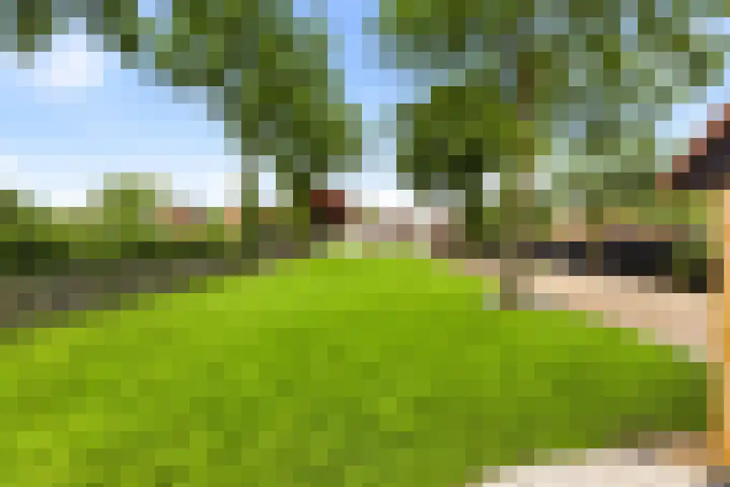 Julianastraat 76 Heikant thumbnail 37
