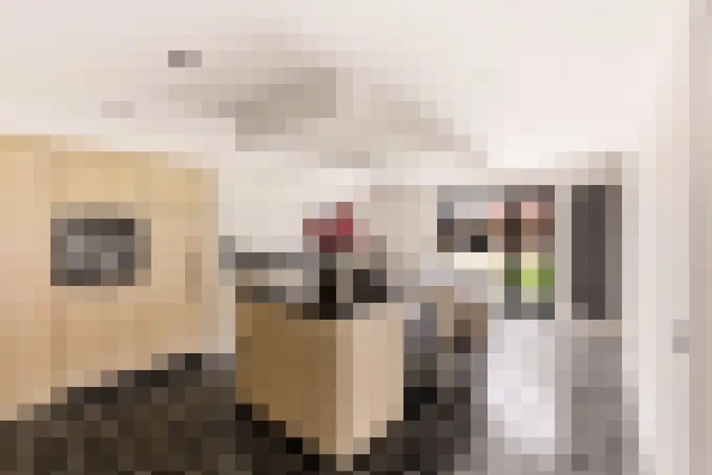 Julianastraat 76 Heikant thumbnail 4