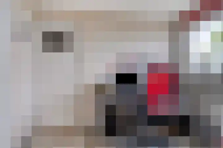 Julianastraat 77 Zuidland thumbnail 15