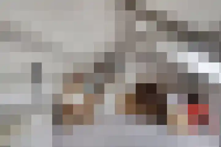 Julianastraat 77 Zuidland thumbnail 17