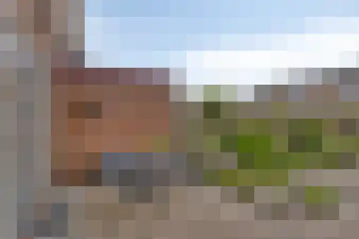 Julianastraat 77 Zuidland thumbnail 18