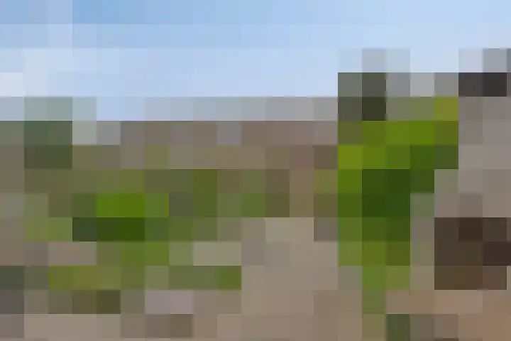 Julianastraat 77 Zuidland thumbnail 19