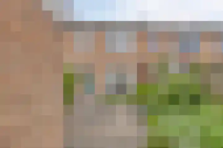 Julianastraat 77 Zuidland thumbnail 20