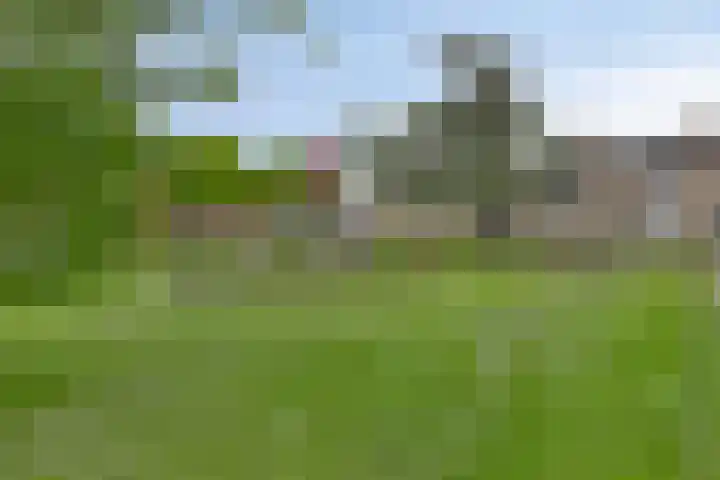 Julianastraat 77 Zuidland thumbnail 21