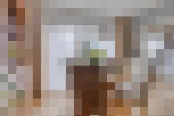 Julianastraat 77 Zuidland thumbnail 6