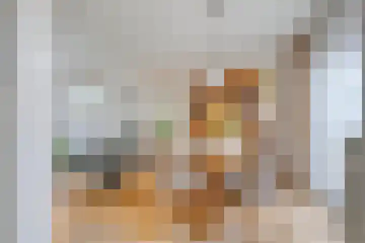 Julianastraat 77 Zuidland thumbnail 7