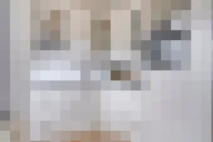 Julianastraat 77 Zuidland thumbnail 8