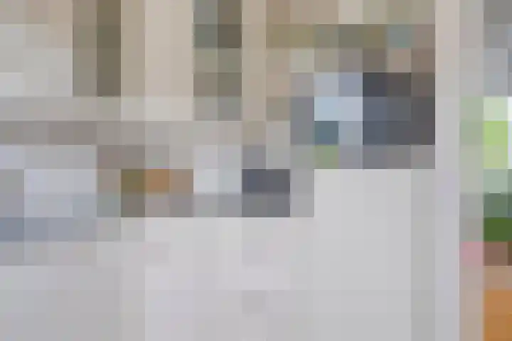 Julianastraat 77 Zuidland thumbnail 9
