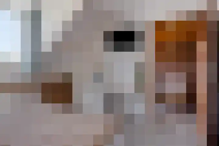 Julianastraat 78 Heikant thumbnail 31