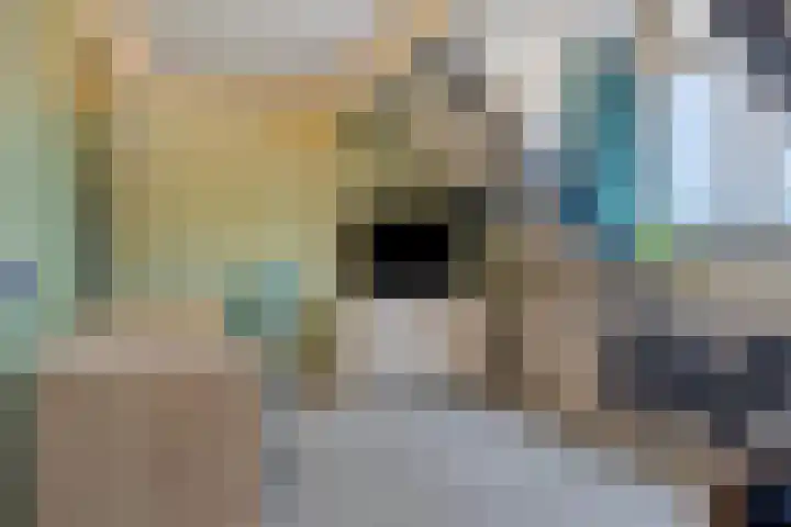 Julianastraat 78 Heikant thumbnail 32