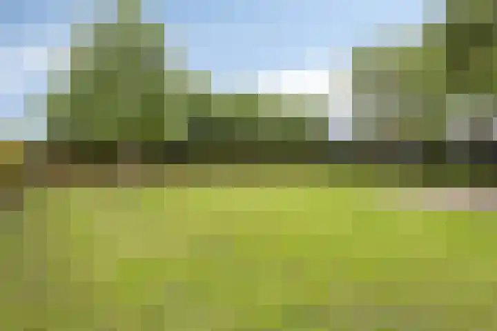 Julianastraat 78 Heikant thumbnail 43