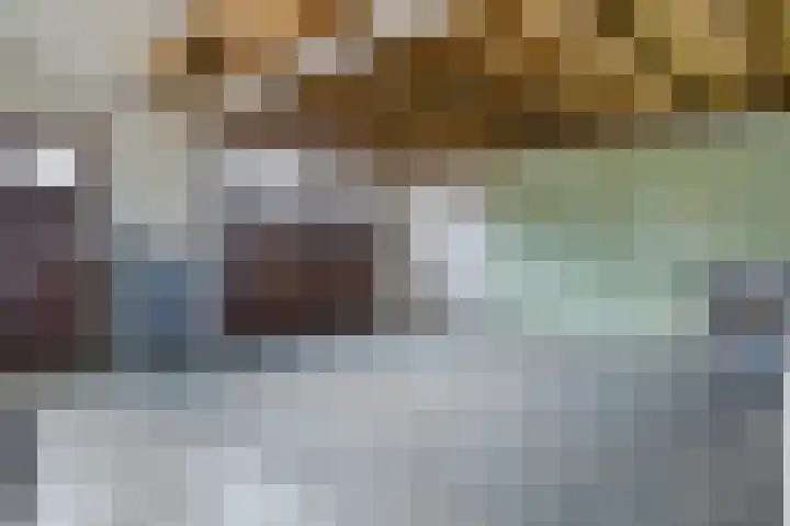 Julianastraat 78 Heikant thumbnail 45