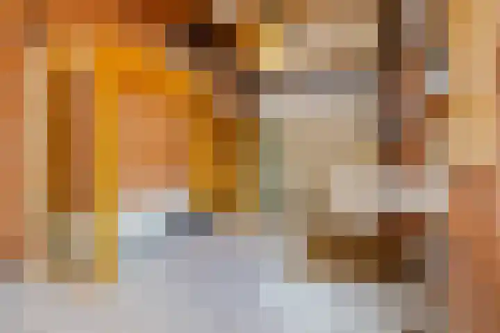 Julianastraat 78 Heikant thumbnail 50