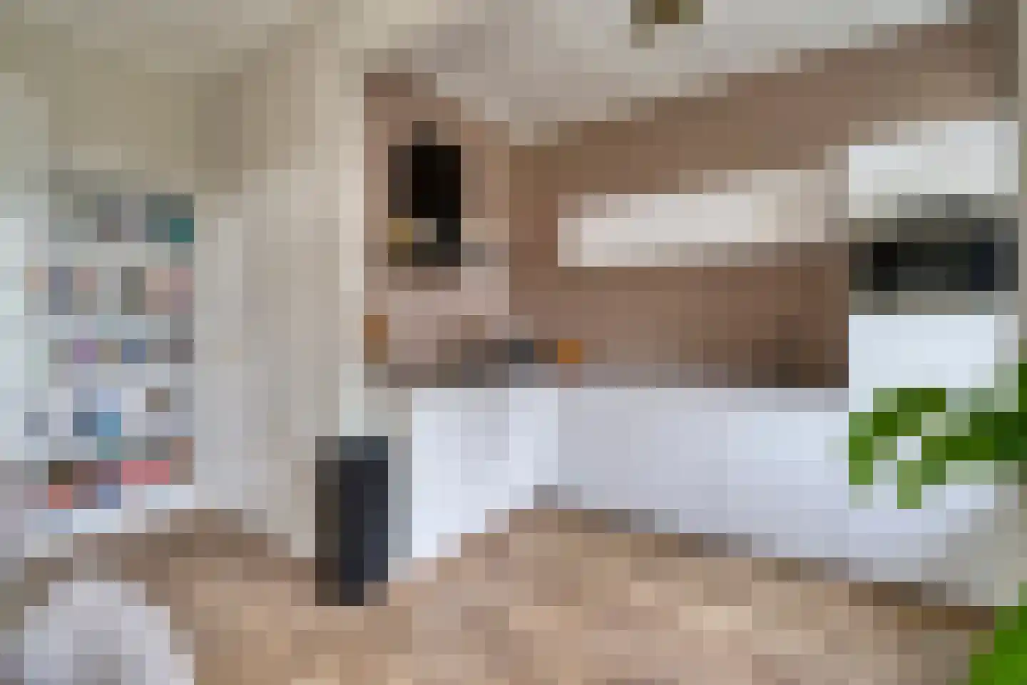 Julianastraat 78 Veenendaal thumbnail 10