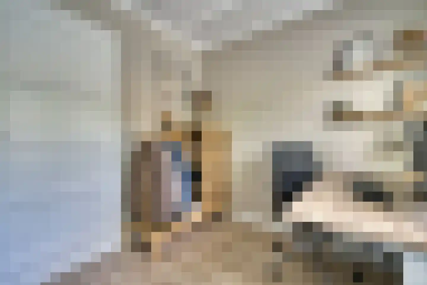 Julianastraat 78 Veenendaal thumbnail 20