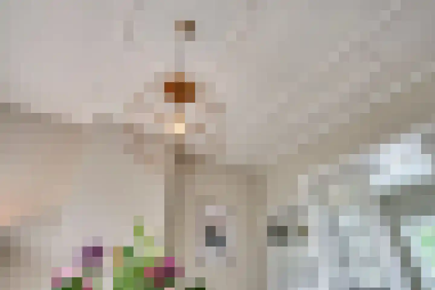 Julianastraat 78 Veenendaal thumbnail 9