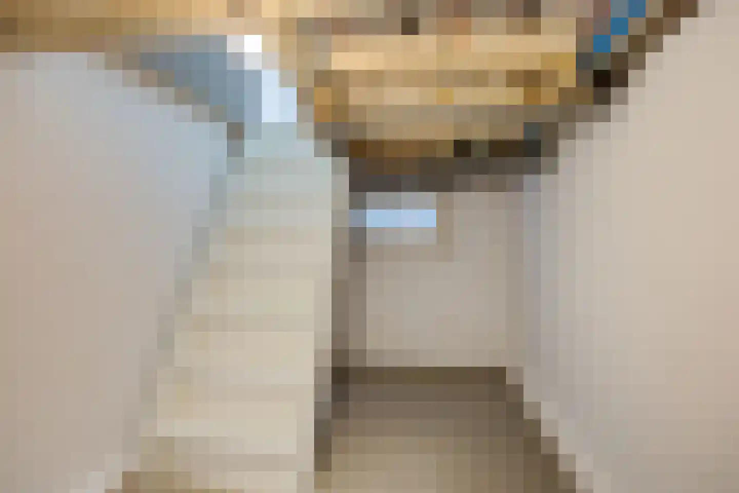 Julianastraat 79 Dedemsvaart thumbnail 10