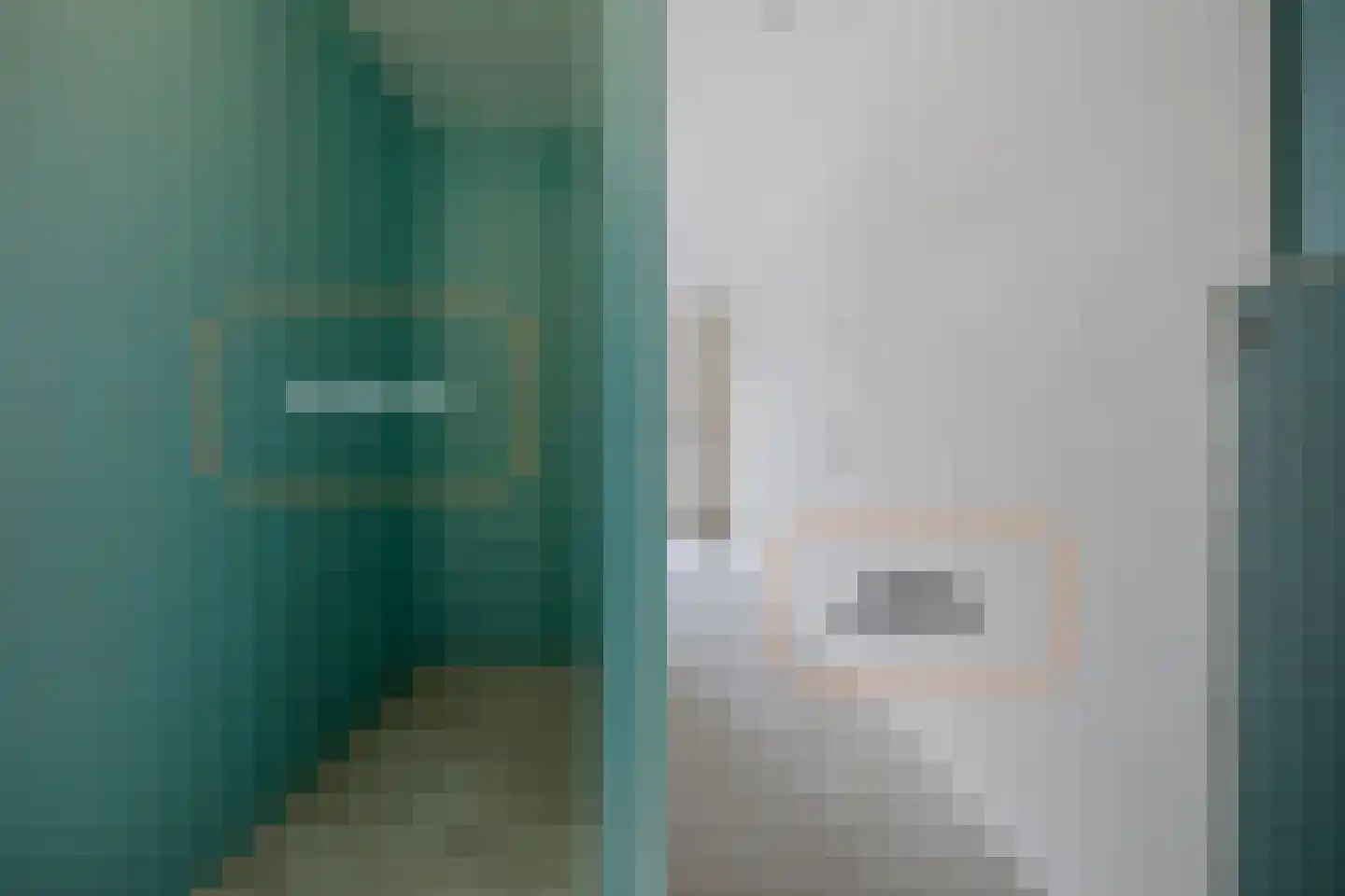 Julianastraat 79 Dedemsvaart thumbnail 28
