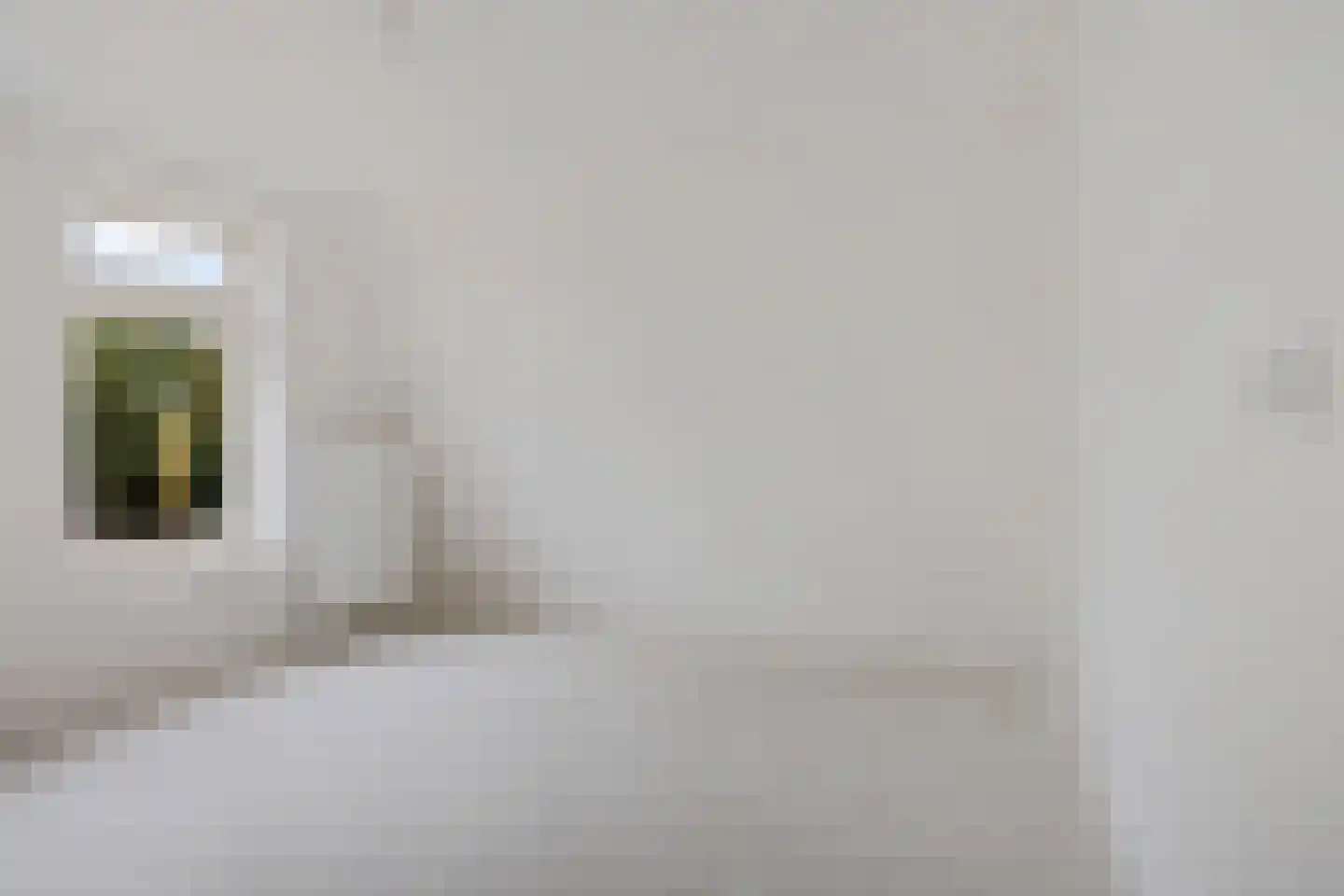 Julianastraat 79 Dedemsvaart thumbnail 36