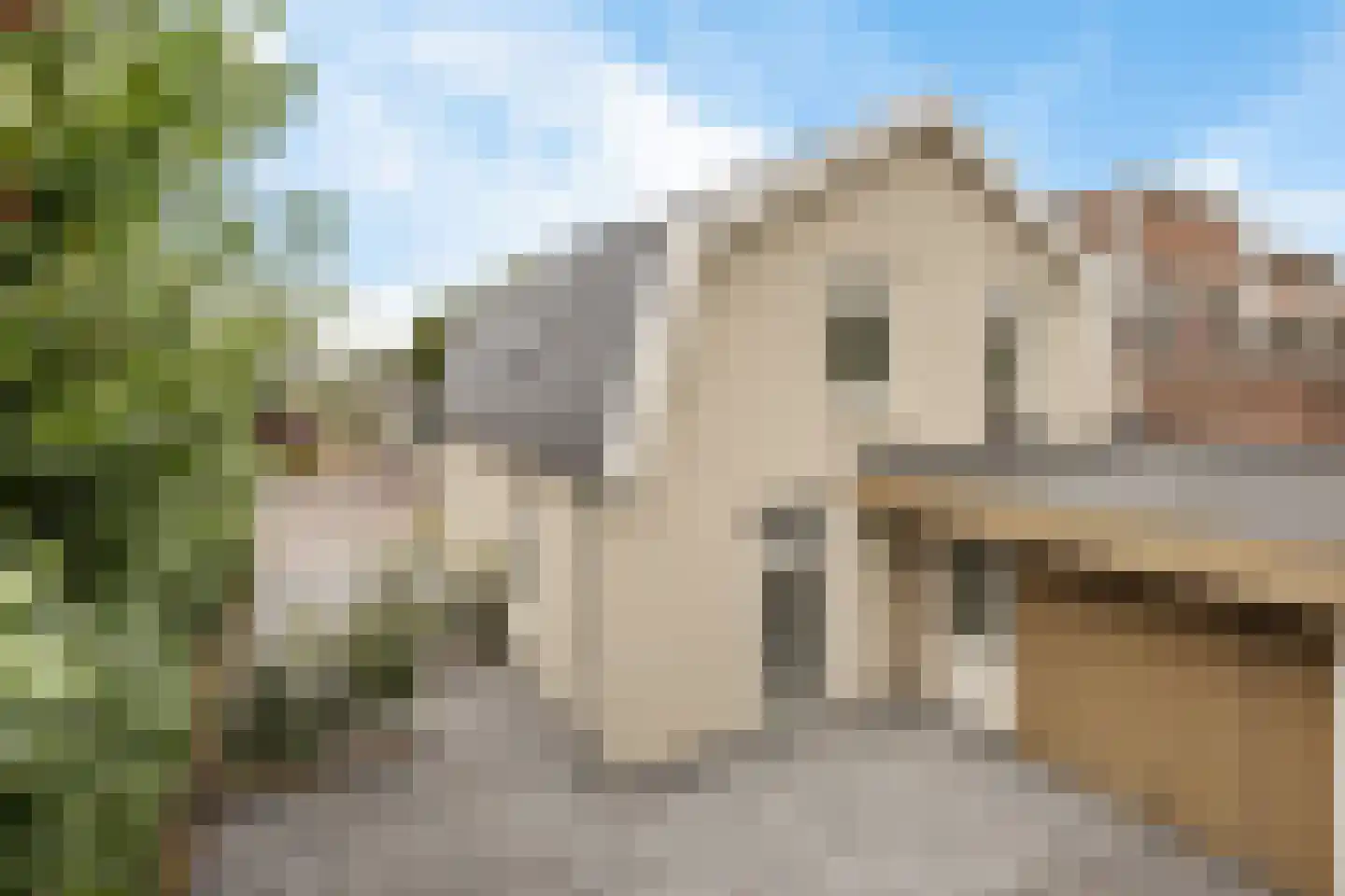 Julianastraat 79 Dedemsvaart thumbnail 4