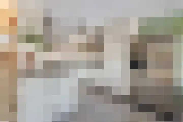 Julianastraat 8 A Eindhoven thumbnail 21