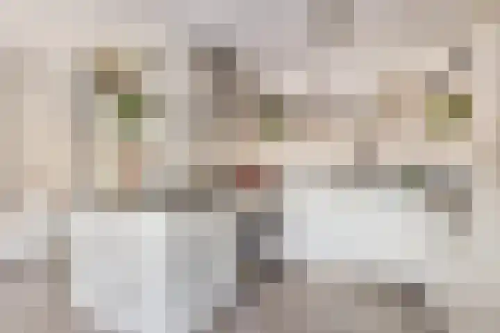 Julianastraat 8 A Eindhoven thumbnail 22