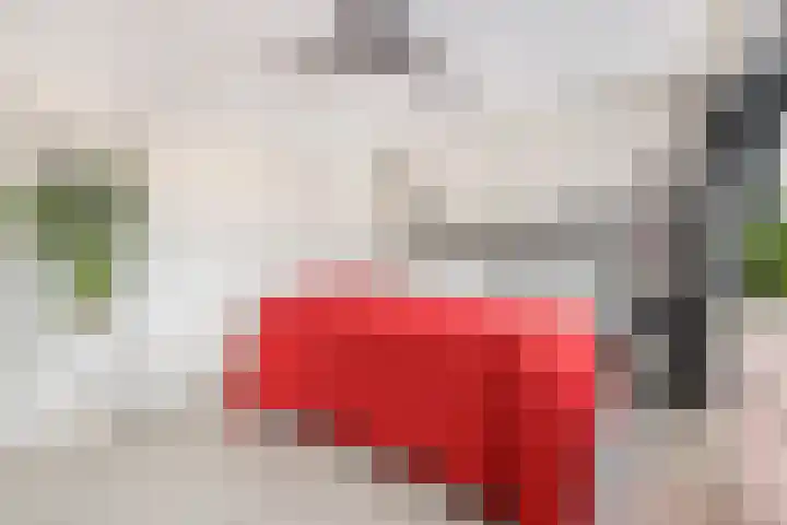 Julianastraat 8 A Eindhoven thumbnail 31