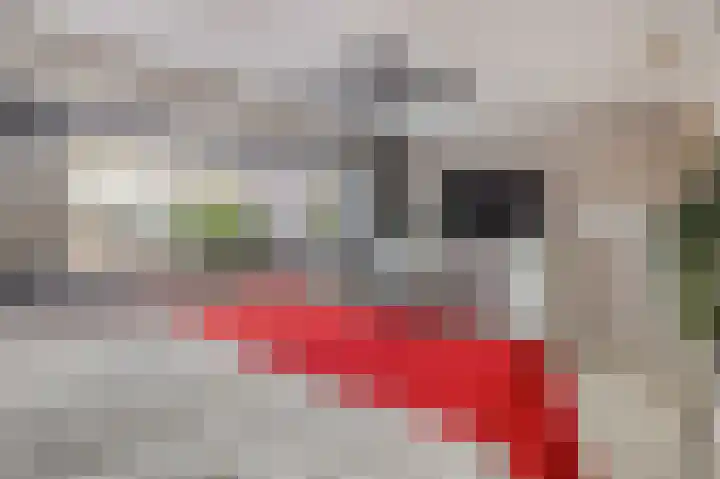 Julianastraat 8 A Eindhoven thumbnail 32