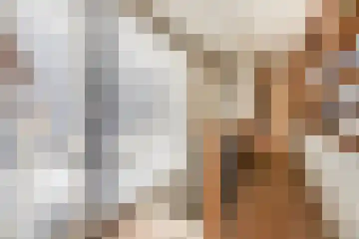Julianastraat 8 A Eindhoven thumbnail 36