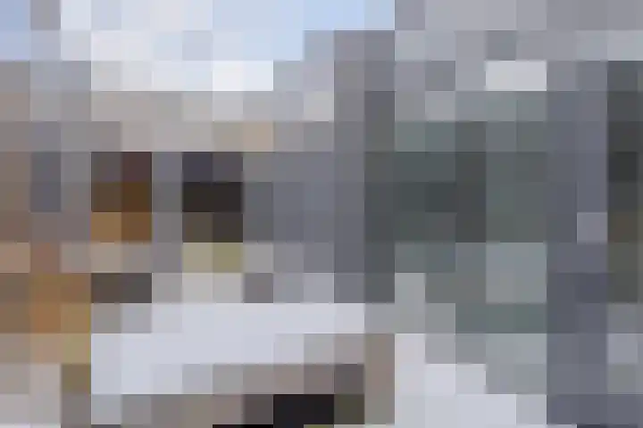 Julianastraat 8 A Eindhoven thumbnail 39