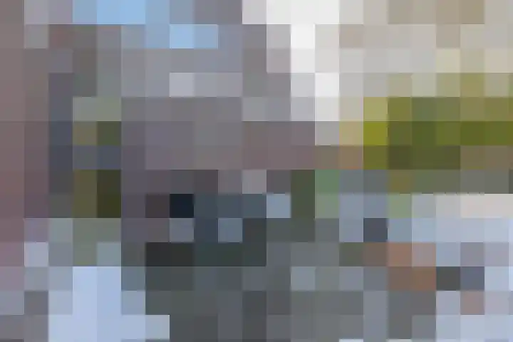 Julianastraat 8 A Eindhoven thumbnail 43