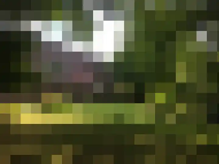 Julianastraat 8 A Eindhoven thumbnail 46