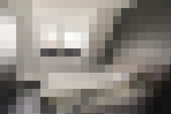 Julianastraat 8 a Nieuw-Vossemeer thumbnail 4