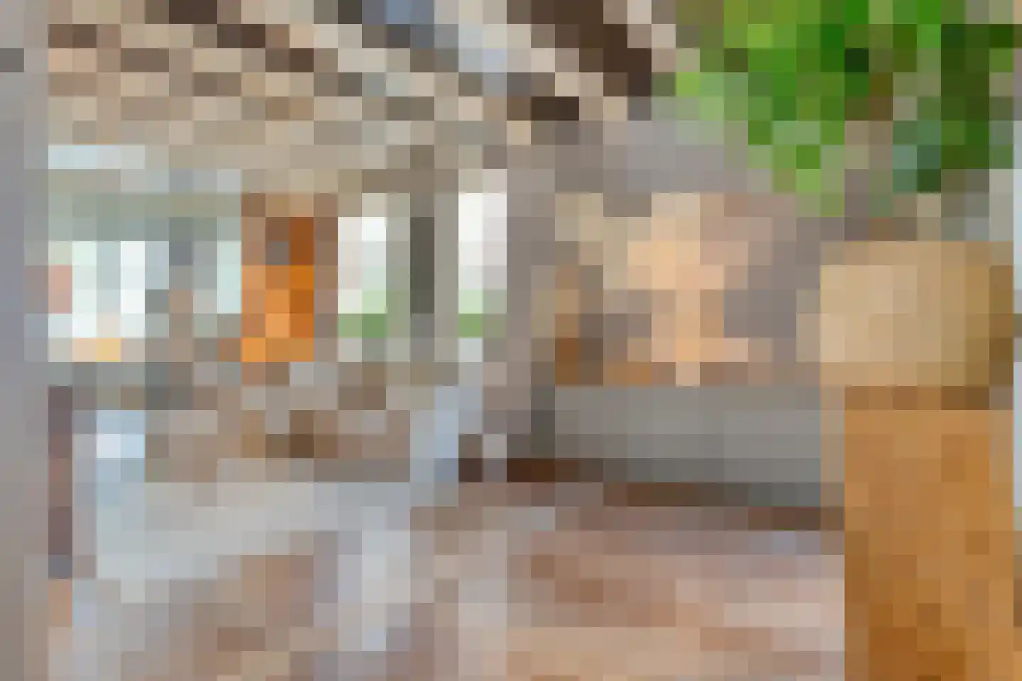 Julianastraat 8 Beilen thumbnail 21