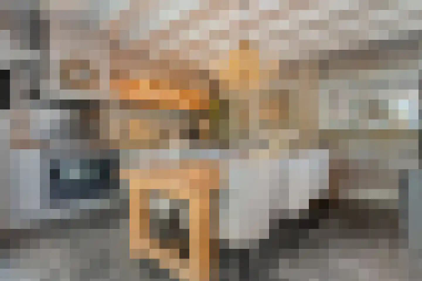 Julianastraat 8 Beilen thumbnail 26