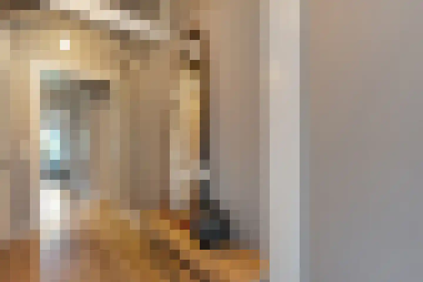 Julianastraat 8 Beilen thumbnail 30