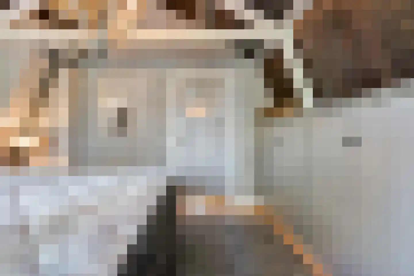 Julianastraat 8 Beilen thumbnail 32