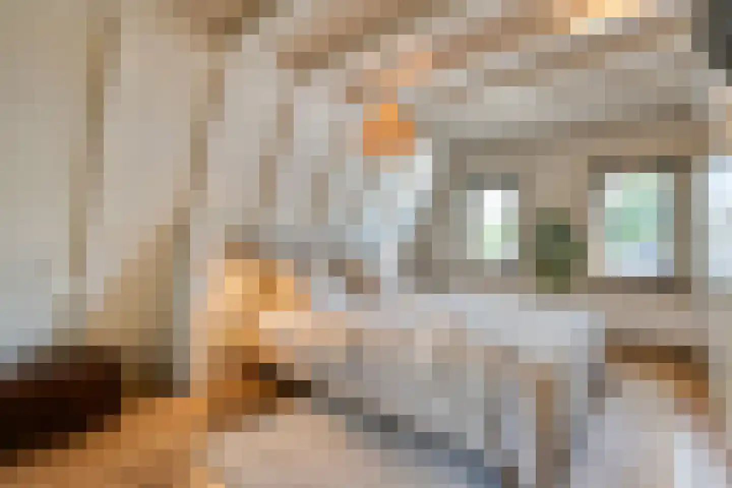 Julianastraat 8 Beilen thumbnail 35