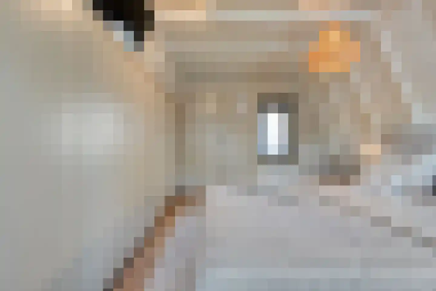 Julianastraat 8 Beilen thumbnail 36