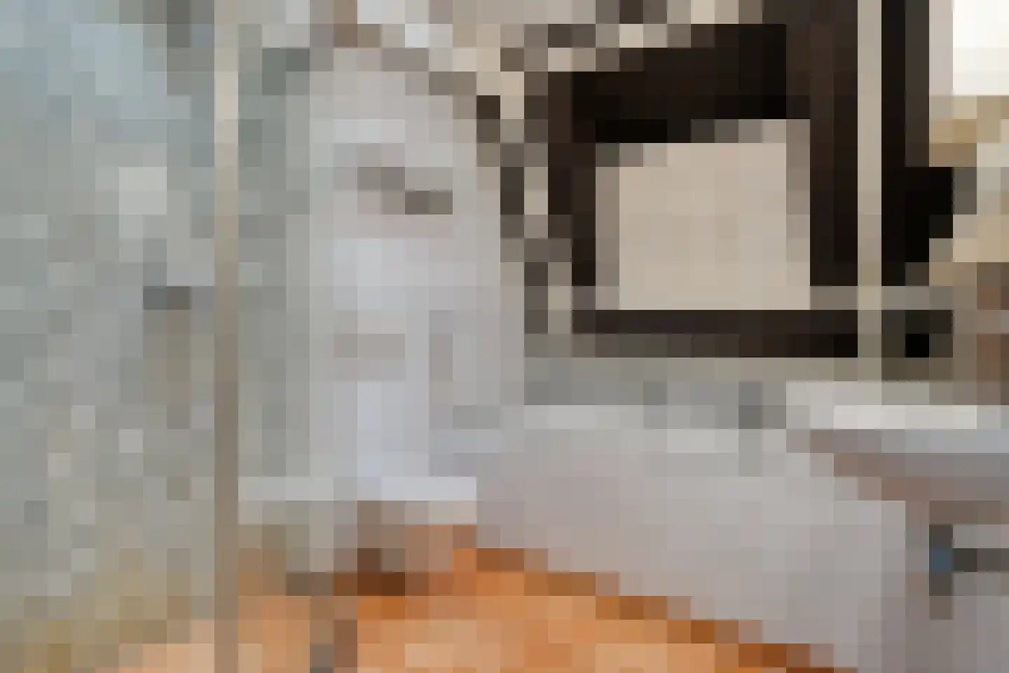 Julianastraat 8 Beilen thumbnail 37